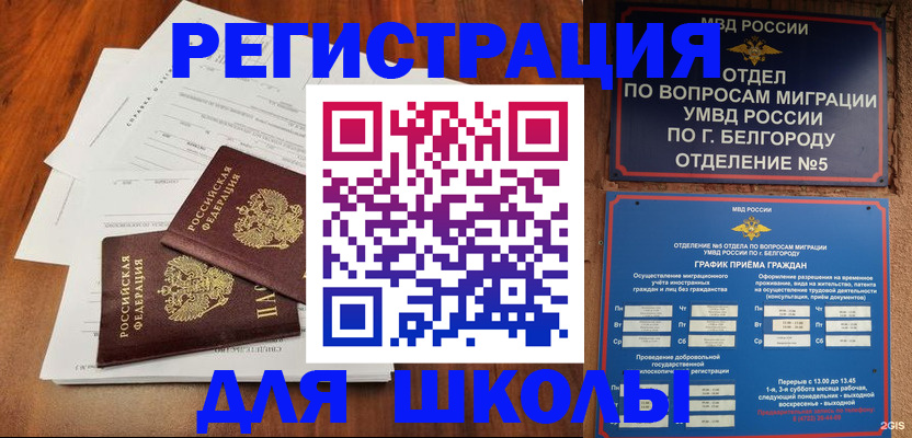 прописка поиск в Ельне